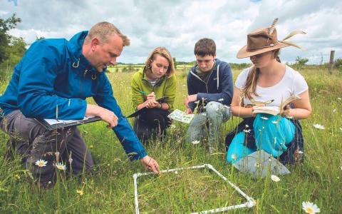 Students performing fieldwork research