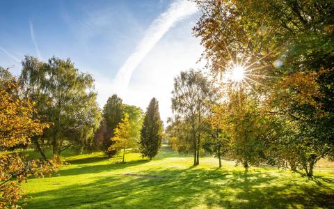 Arboretum in the sun