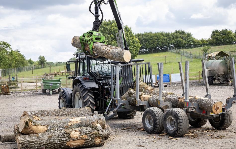 Arboriculture