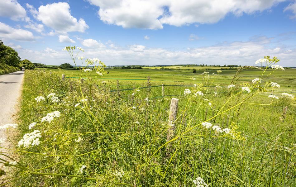 Sparsholt Landscape