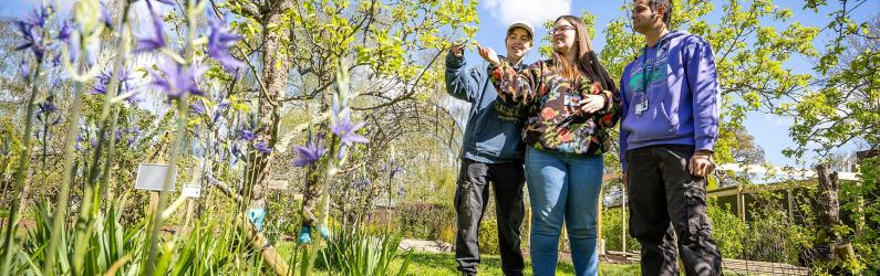Horticulture Students examining a plant